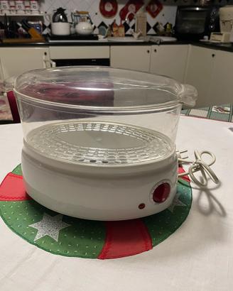Vaporiera elettrica