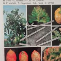 Libri superiori- agronomi