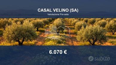Immobile in asta di 3001 m² a Casal Velino