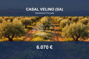 Immobile in asta di 3001 m² a Casal Velino
