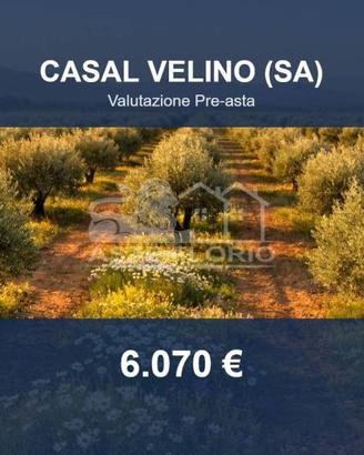 Immobile in asta di 3001 m² a Casal Velino