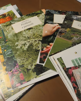 schede nuove x coltivare orto e giardino (n. 41)