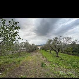 Vendita casa con terreno