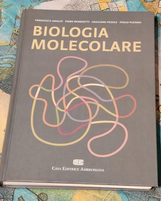 Amaldi - Biologia molecolare 