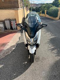 Honda Forza 300 usata