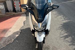 Honda Forza 300 usata