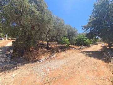 Terreno di 3550 m² a Alberobello
