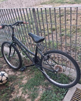 bicicletta