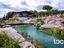 Immagine 6