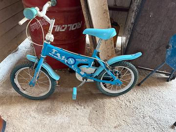 Bici normale