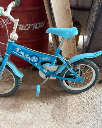 Bici normale