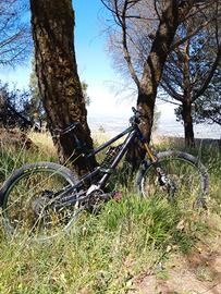 mountain bike canyon 