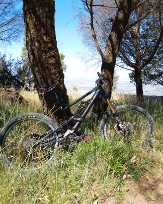 mountain bike canyon 