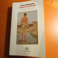 L'ISOLA DI ARTURO libro