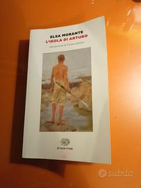 L'ISOLA DI ARTURO libro