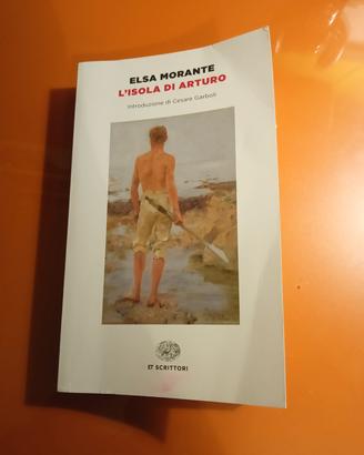 L'ISOLA DI ARTURO libro