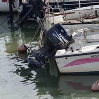 Barca con motore parsun 40cv