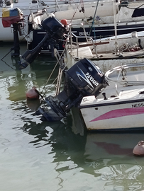 Barca con motore parsun 40cv