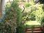 Immagine 15