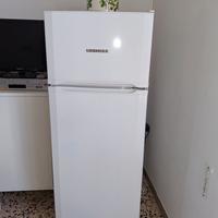 Frigorifero  Liebherr CTP 2521-20