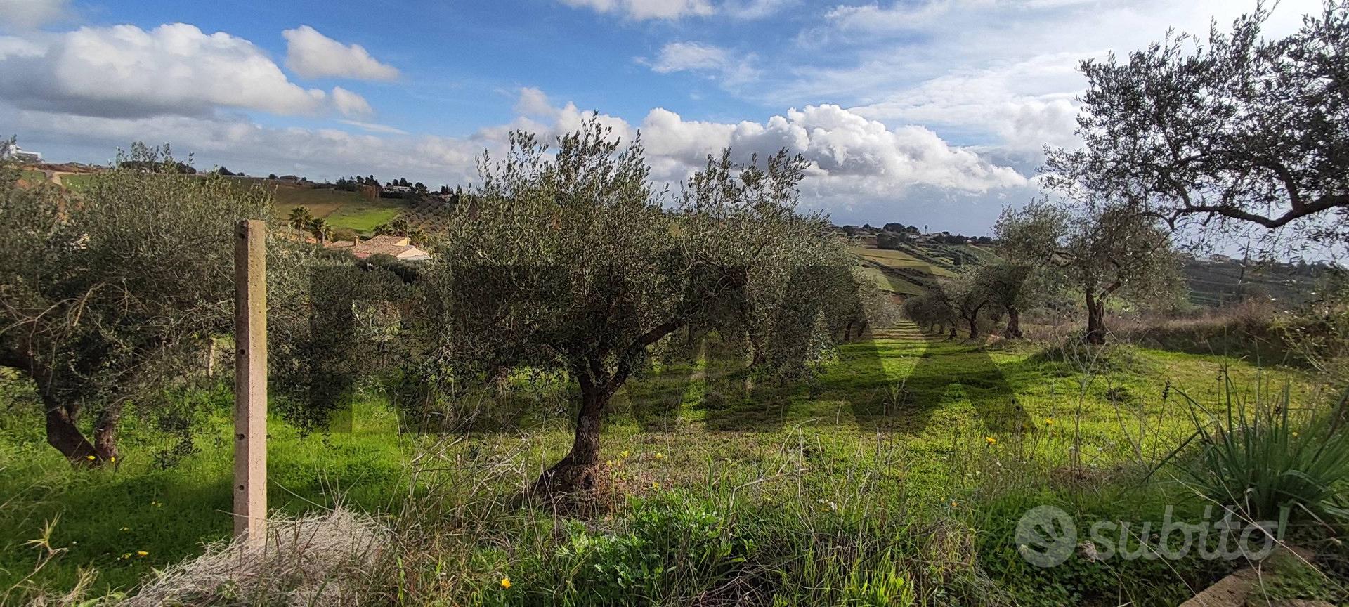 Terreno - Caltagirone - Vista 5