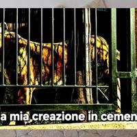 Muratore imbianchino caserta