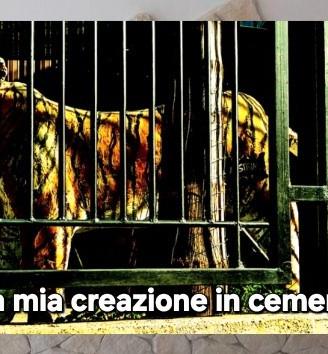 Muratore imbianchino caserta