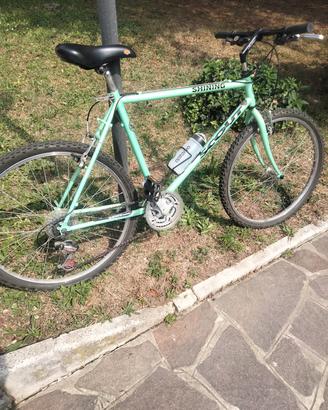 bici uomo 