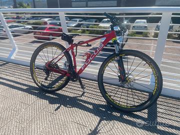 MTB Focus Black Forest
