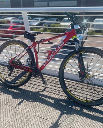 MTB Focus Black Forest