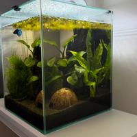 Acquario completo 30 L