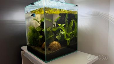 Acquario completo 30 L