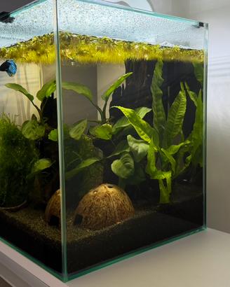 Acquario completo 30 L