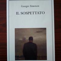 Libro: Il sospettato