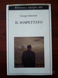 Libro: Il sospettato