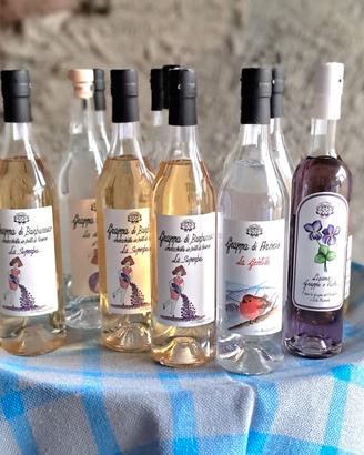 bottiglie grappa collezione 