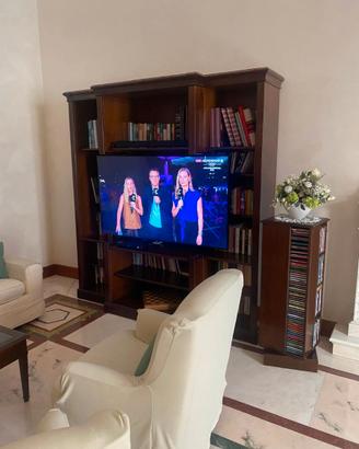 MOBILE TV
