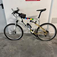Bicicletta Mountain Bike Bianchi