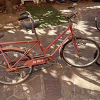 Bibici