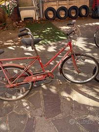 Bibici