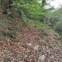 Terreno agricolo Via Guglielmo Marconi, Bogliasco