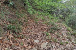 Terreno agricolo Via Guglielmo Marconi, Bogliasco