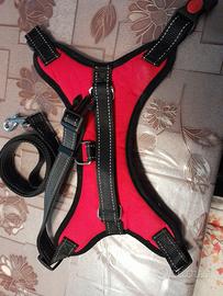 Pettorina cane e guinzaglio