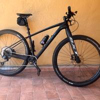 MTB  TOTALMENTE IN CARBONIO