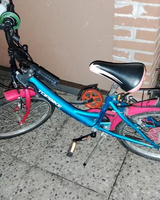 Bicicletta 