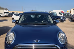 Mini 1.5 One D Hype