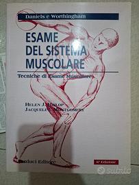 analisi del sistema muscolare 