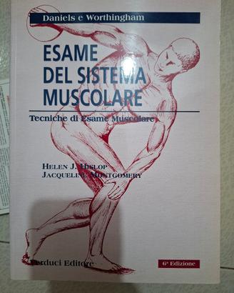 analisi del sistema muscolare 
