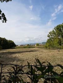 Terreno agricolo in Arena-Metato