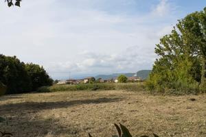 Terreno agricolo in Arena-Metato